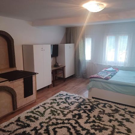 Casa Bucovina Dorna Candrenilor Ascutitele Exteriér fotografie