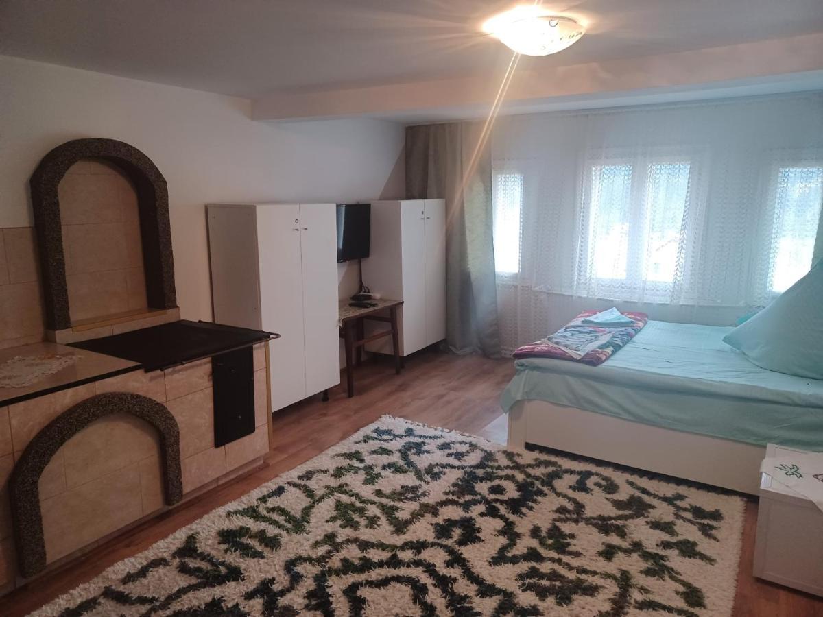 Casa Bucovina Dorna Candrenilor Ascutitele Exteriér fotografie